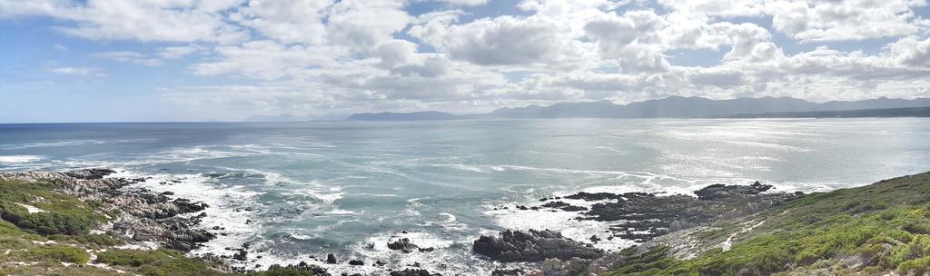 Whale Huys Luxury Oceanfront Eco Villa Gansbaai Kültér fotó