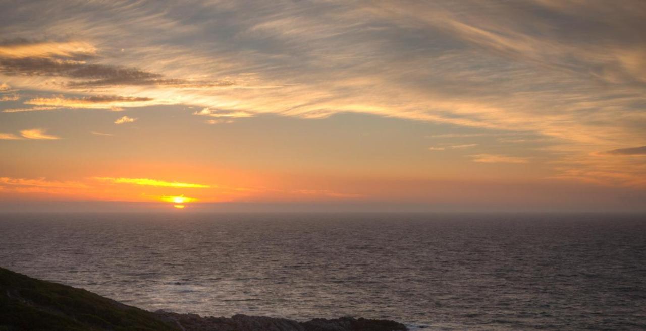 Whale Huys Luxury Oceanfront Eco Villa Gansbaai Kültér fotó